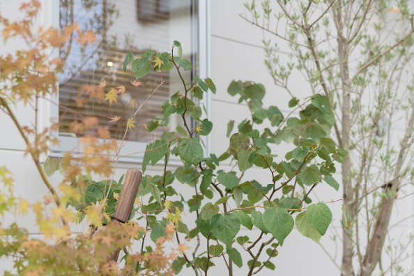 >倉庫からカフェへフルリノベーション